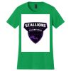 Women's Softstyle Tee Thumbnail