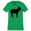 Women's Softstyle Tee Thumbnail