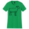 Women's Softstyle Tee Thumbnail